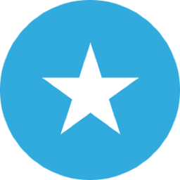 SOM